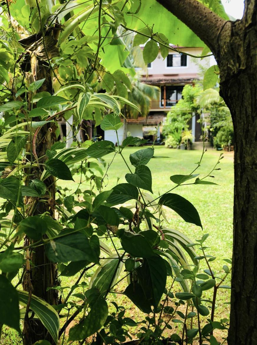 Candle House Kalutara Exterior foto